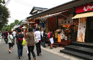 Yunotsubo Kaido Shopping Street