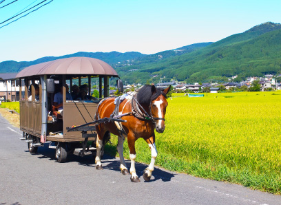 辻馬車で湯布院を巡る