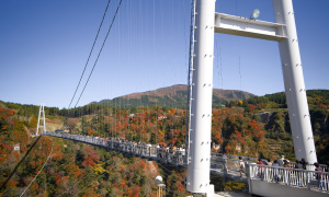 九重“夢”大吊橋